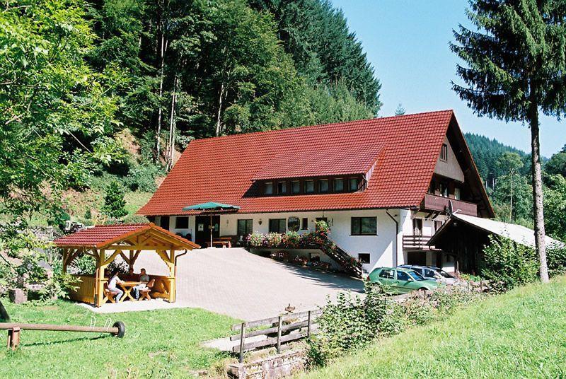 Hinterkimmighof Apartment Oberharmersbach Exterior foto